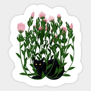 Cat and king protea Sticker